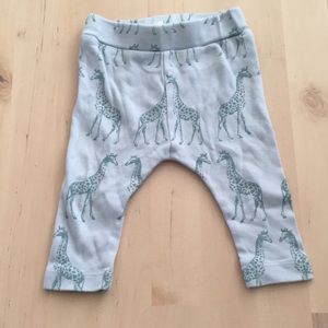 Kate Quinn Giraffe Pants